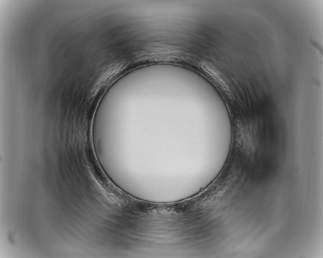 X0000097980586200803241044