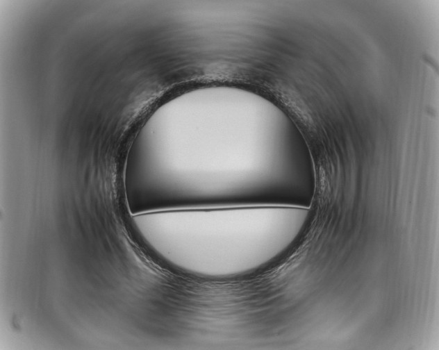 X0000097980588200803241044