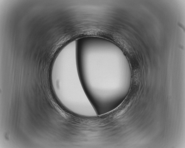 X0000097980589200803241044