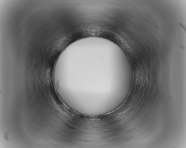 X0000097980594200803241044