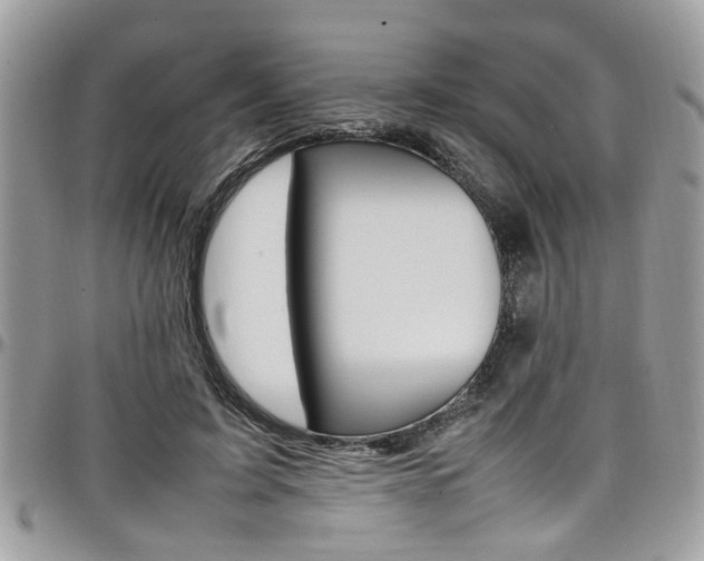 X0000097980595200803241044