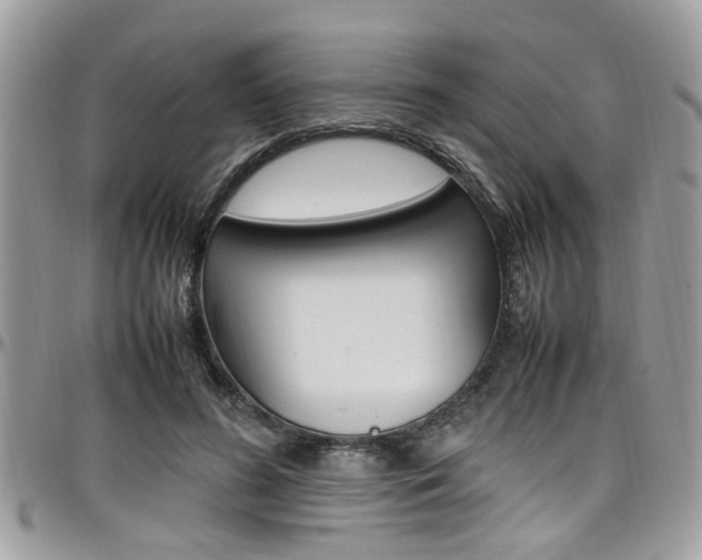X0000097980596200803241044