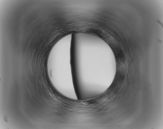 X0000097980599200803241044