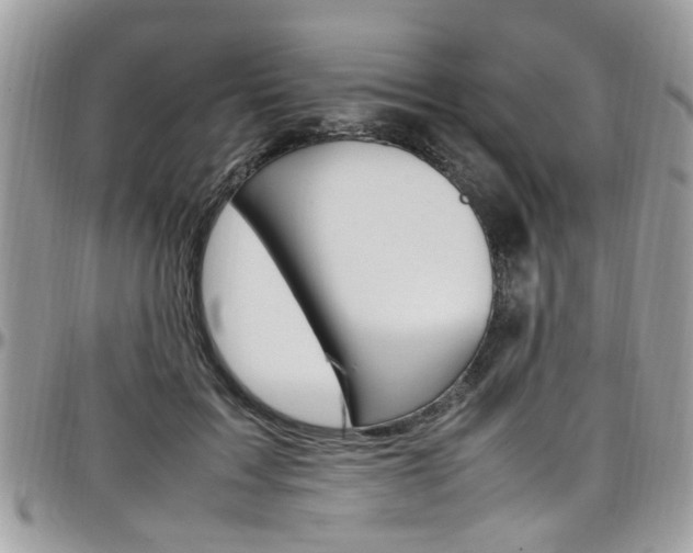 X0000097980603200803241044