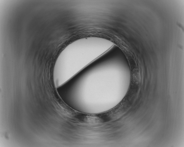 X0000097980605200803241044