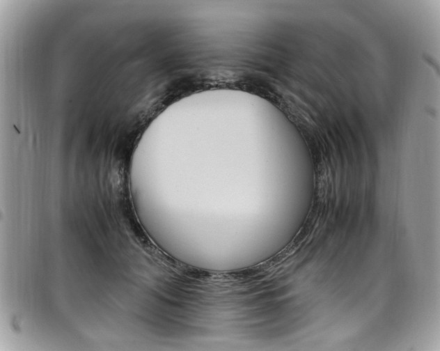 X0000097980608200803241044