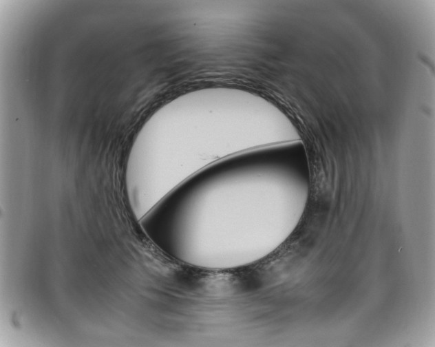 X0000097980609200803241043