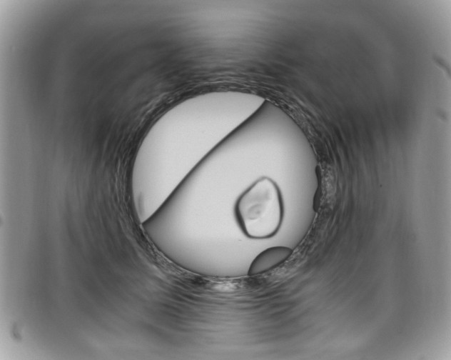 X0000097980611200803241043