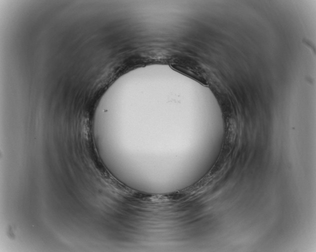 X0000097980612200803241043