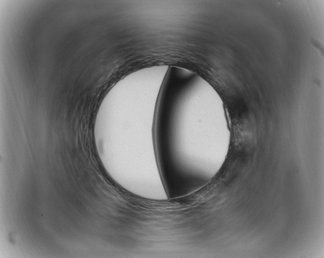 X0000097980613200803241043