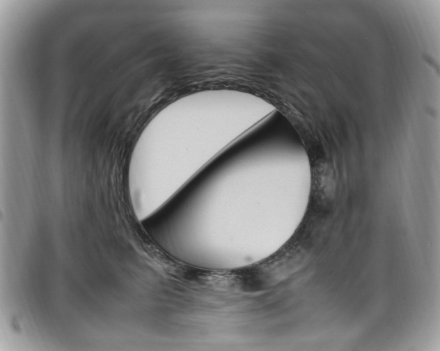 X0000097980615200803241043