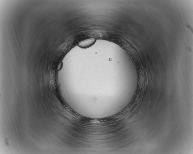 X0000097980616200803241043