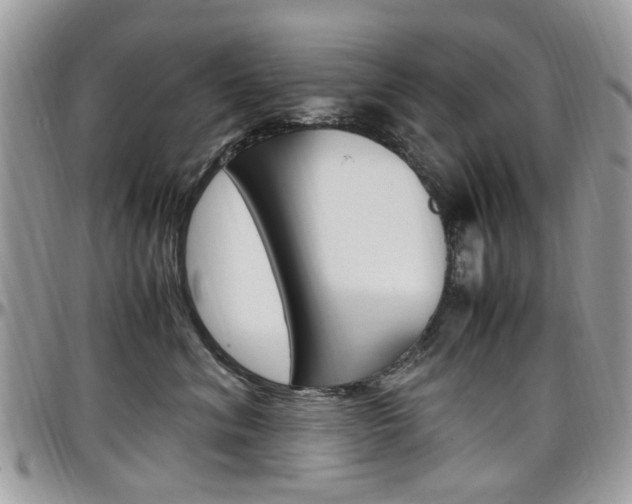 X0000097980620200803241043