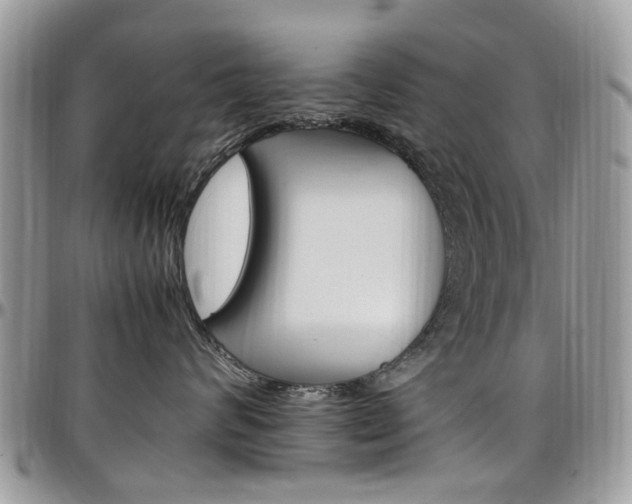 X0000097980624200803241043