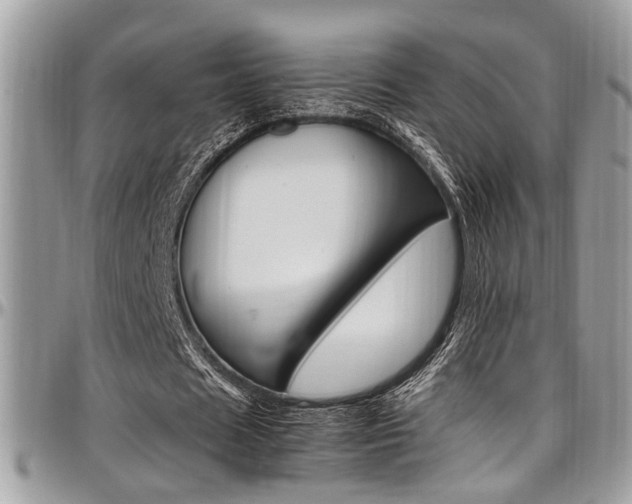 X0000097980625200803241043