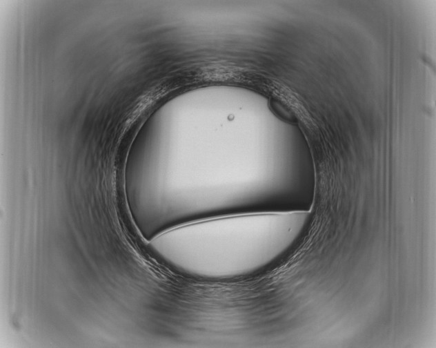 X0000097980626200803241043