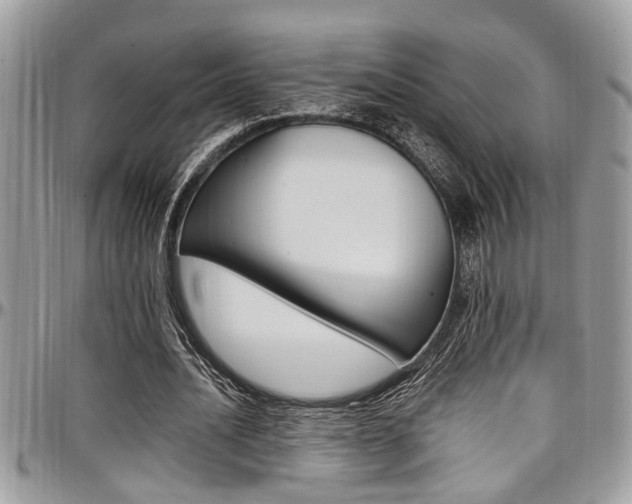 X0000097980628200803241043