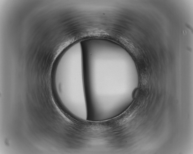 X0000097980630200803241043