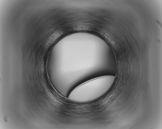 X0000097980631200803241043