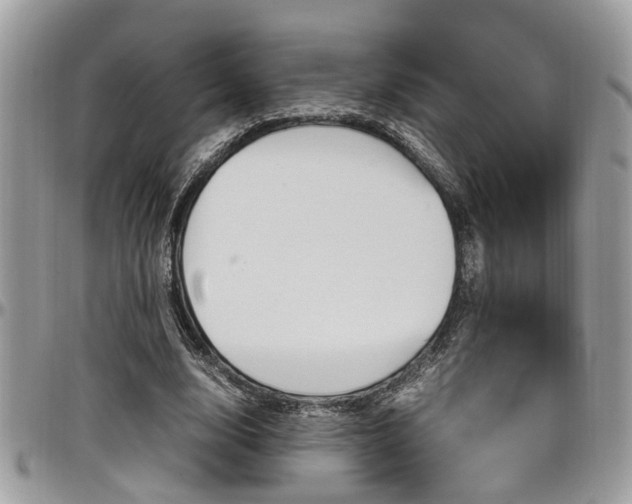 X0000097980632200803241043