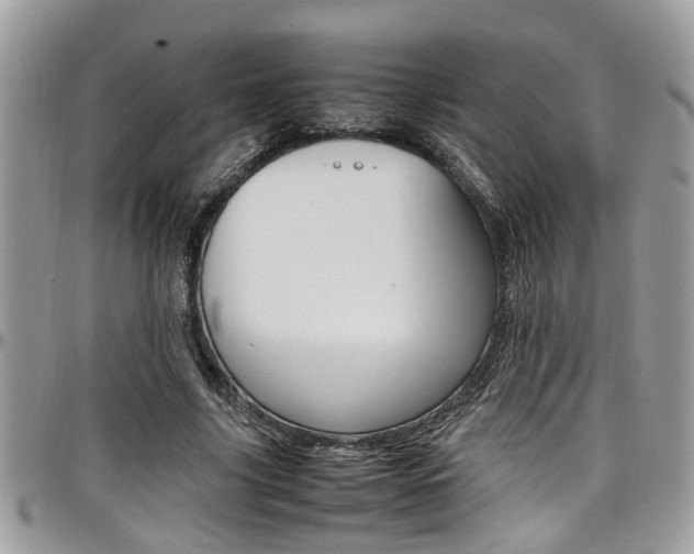 X0000097980635200803241043