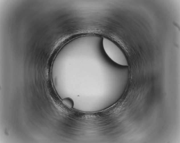X0000097980636200803241043