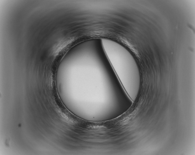 X0000097980637200803241043