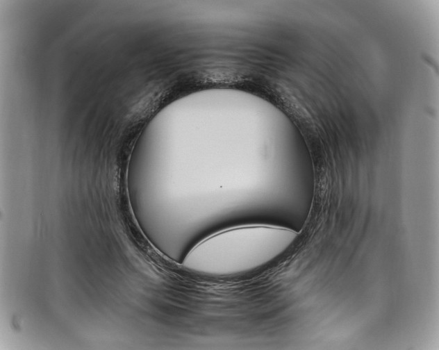 X0000097980639200803241043