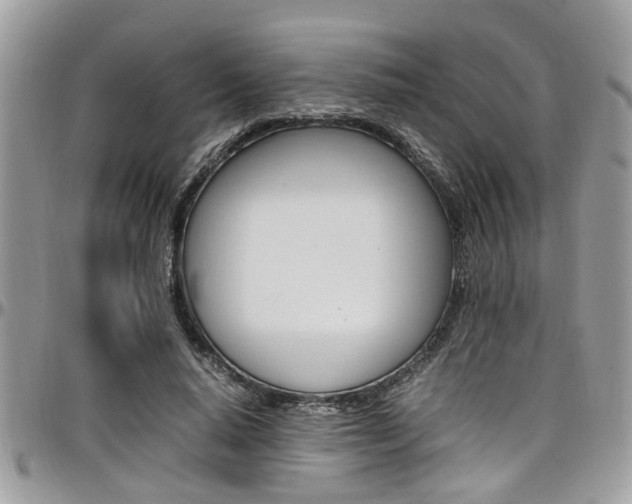 X0000097980640200803241043