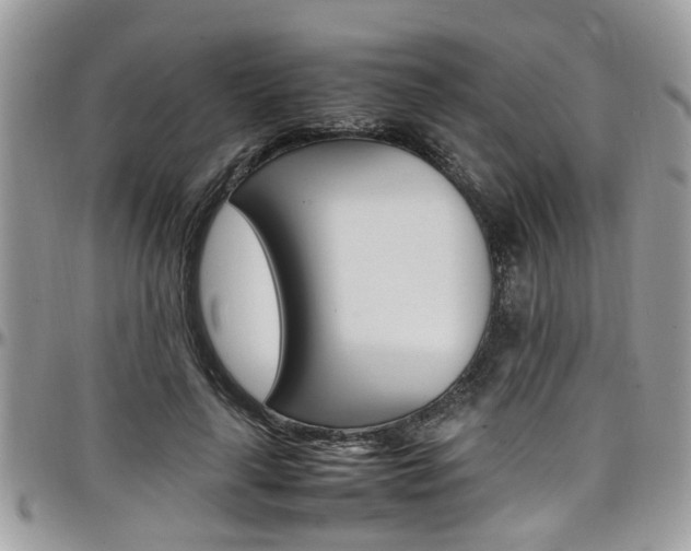 X0000097980643200803241043
