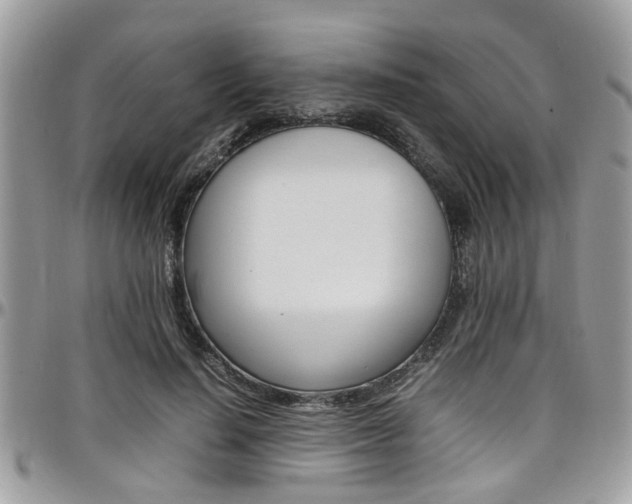 X0000097980644200803241043