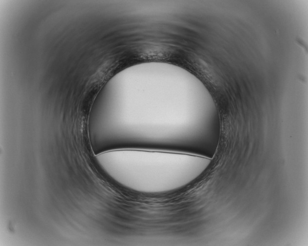 X0000097980645200803241043