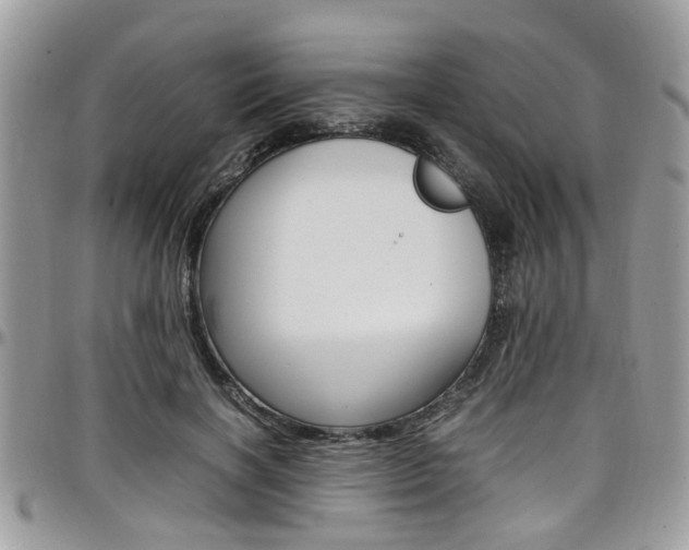 X0000097980646200803241043