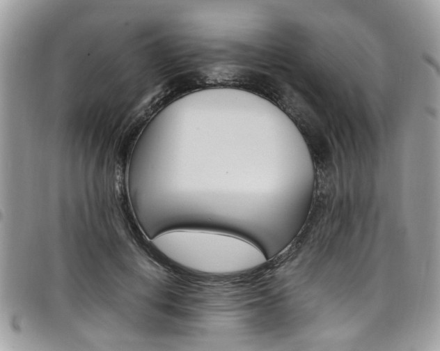X0000097980648200803241043