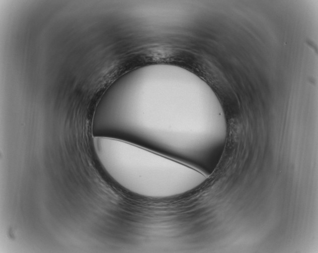 X0000097980650200803241043