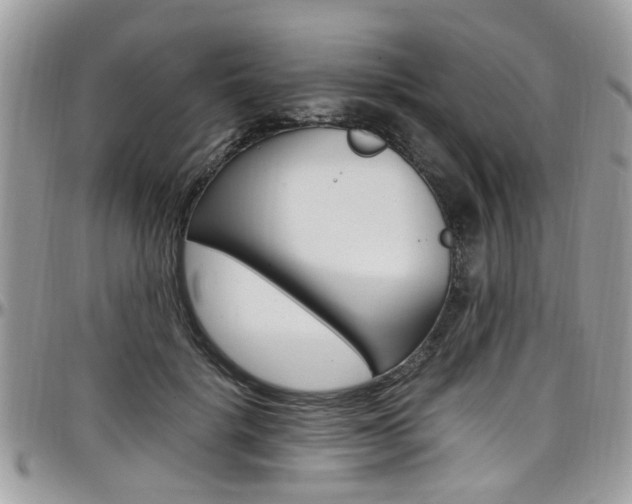 X0000097980652200803241043