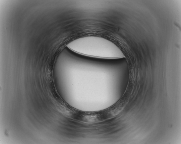 X0000097980653200803241043
