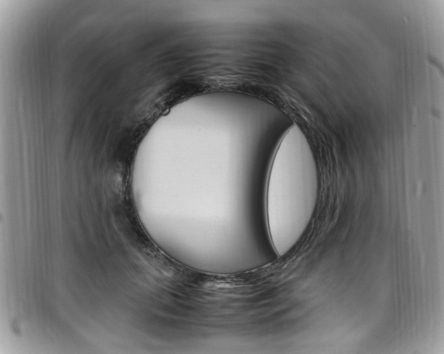X0000097980655200803241043