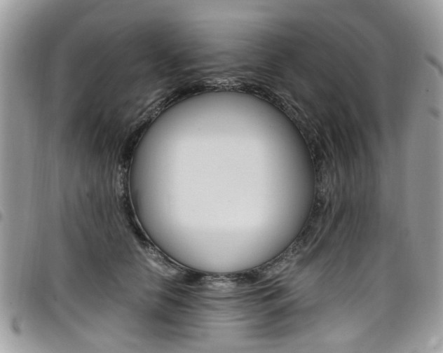 X0000097980658200803241043