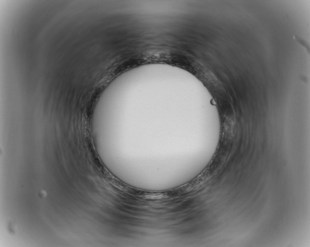 X0000097980659200803241043