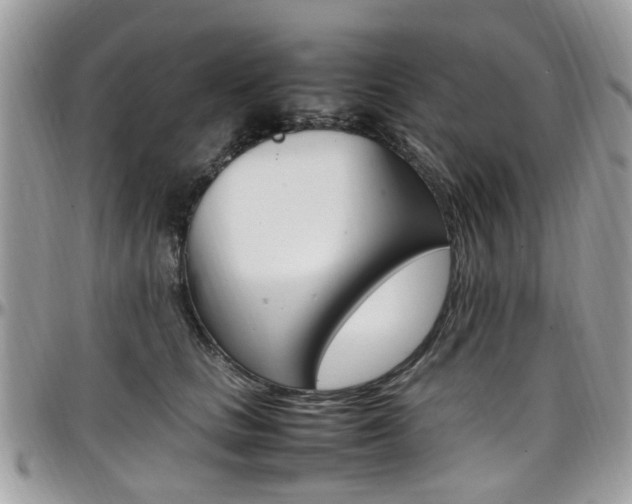 X0000097980661200803241043