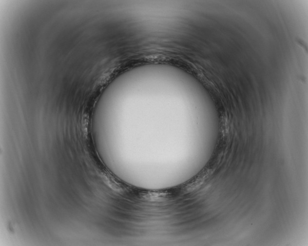 X0000097980664200803241043