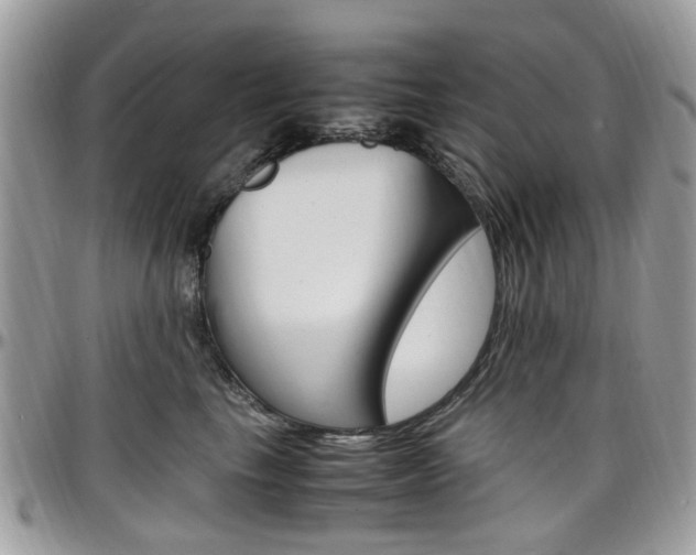 X0000097980665200803241043
