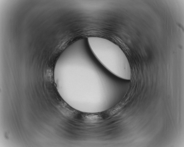 X0000097980669200803241043