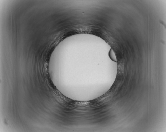 X0000097980671200803241043