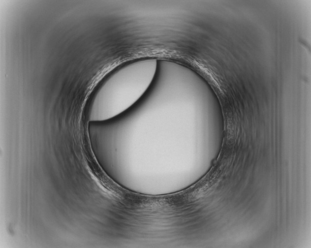 X0000097980674200803241043