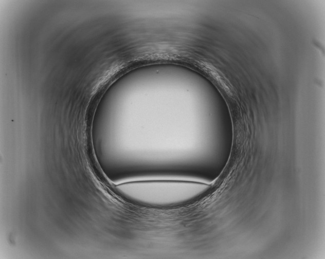 X0000097980677200803241043