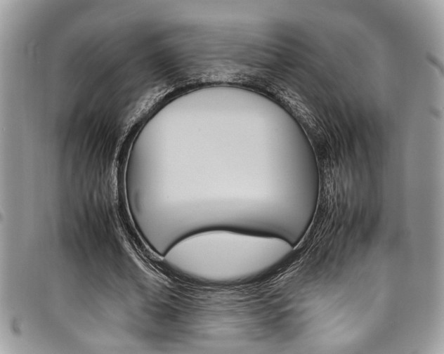 X0000097980678200803241043