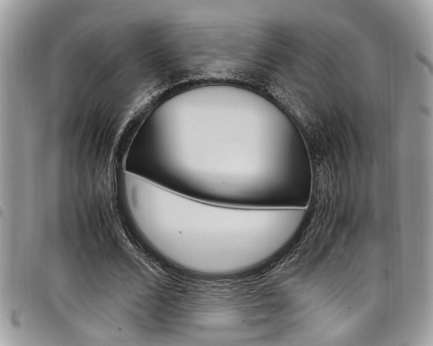 X0000097980680200803241043