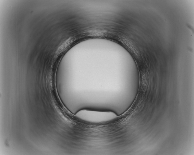 X0000097980682200803241042